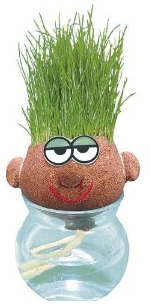 Graskopf Geschenk Amazon Kindergeschenkidee